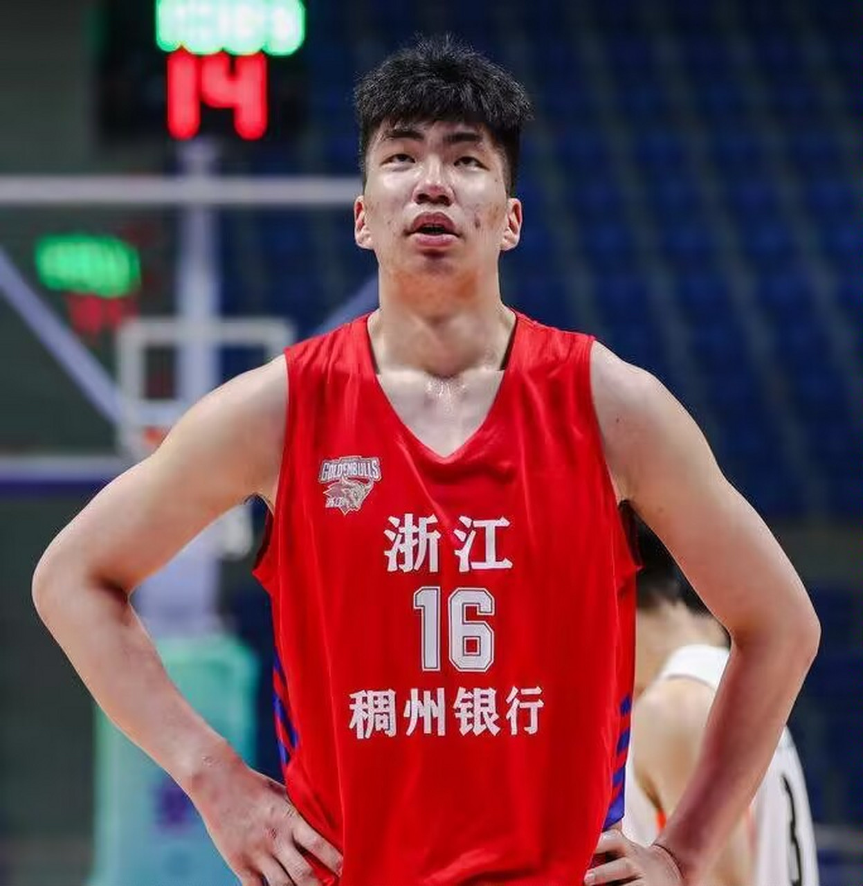 浙江男篮主场喜迎挑战，全力保卫主场荣誉