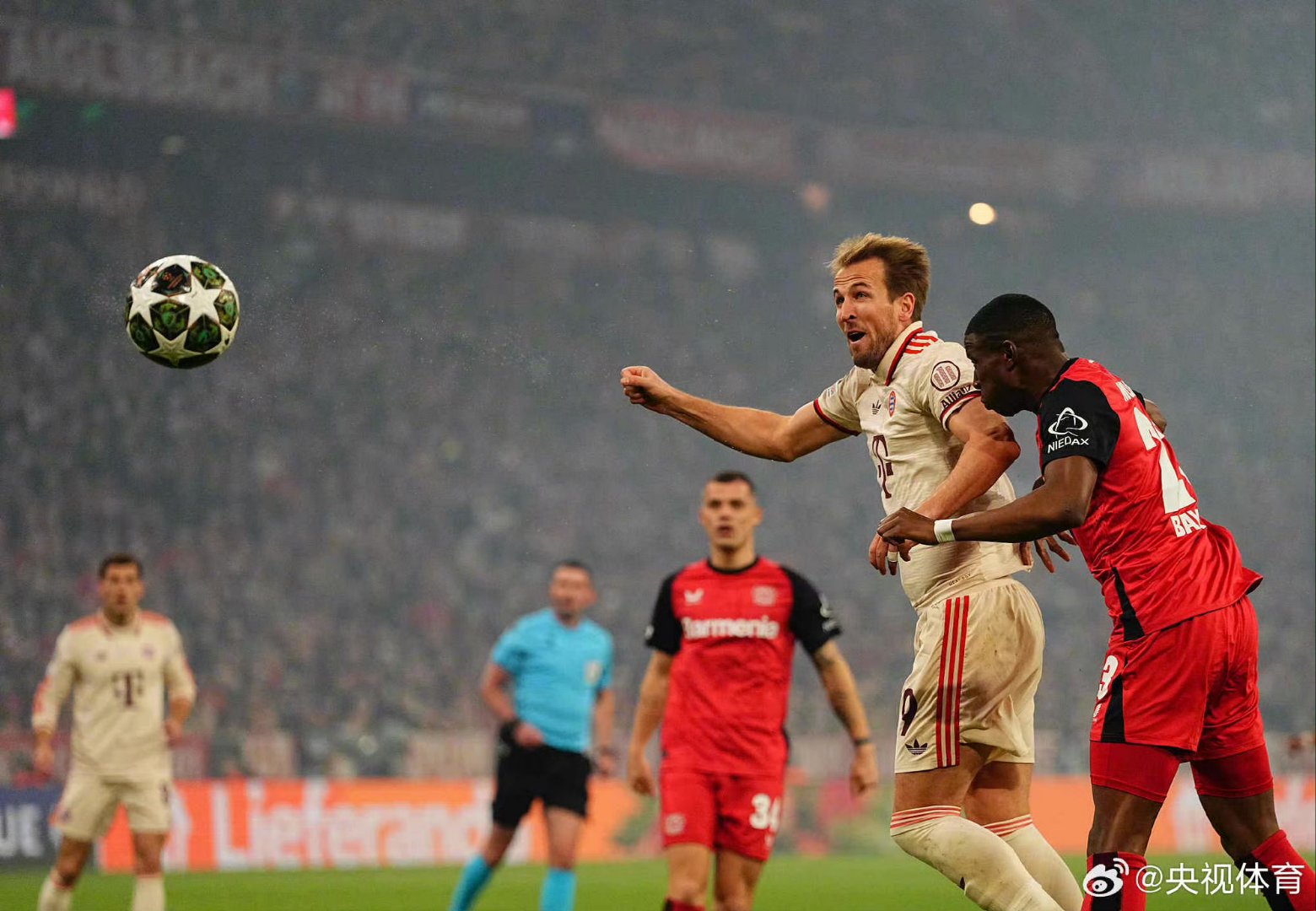 勒沃库森主场失利，状态下滑的简单介绍