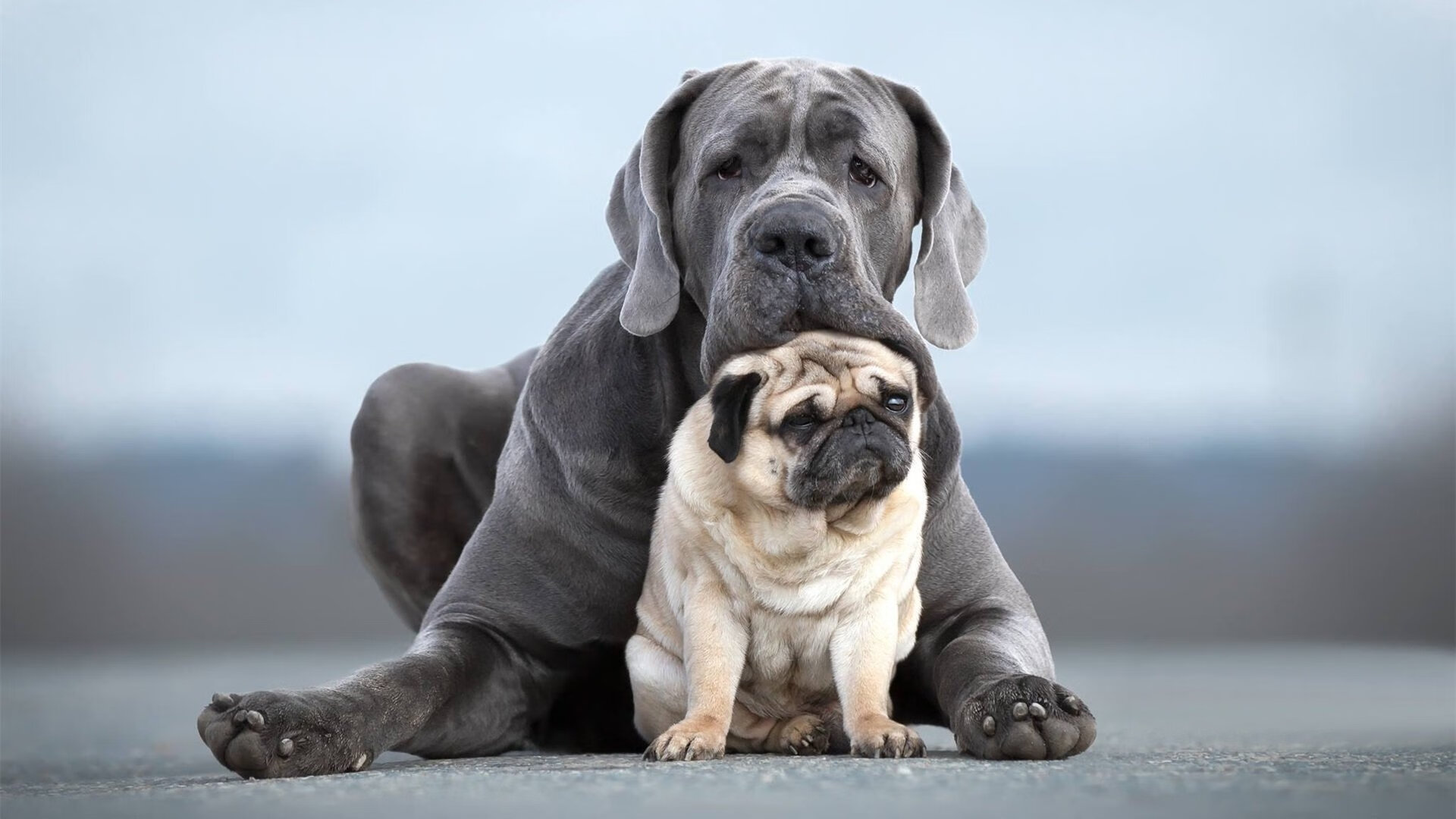 迪亚斯教科书式演出,委内瑞拉单骑破丹麦,拉美足球智慧闪耀友谊赛