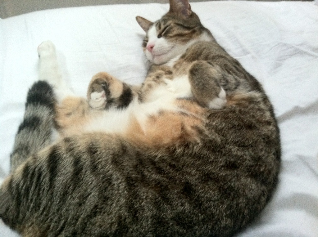 暗夜之光,从加兰绝杀到贝恩接管,黑暗中响起的惊雷