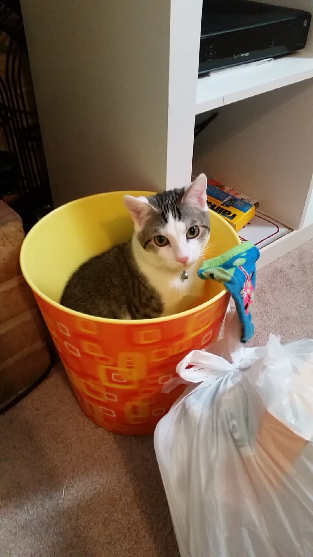 拜仁韩国行闪耀亚洲 金玟哉攻防两端定乾坤