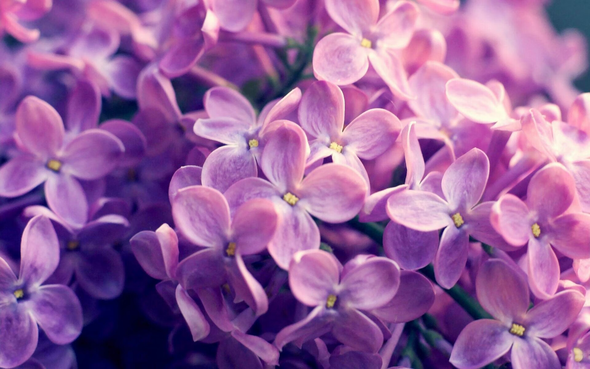数据爆炸的夜晚,当中国萨内撕碎比利时防线